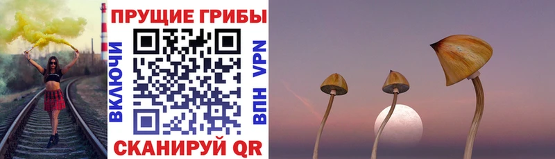 купить  цена  Алушта  Галлюциногенные грибы MAGIC MUSHROOMS 